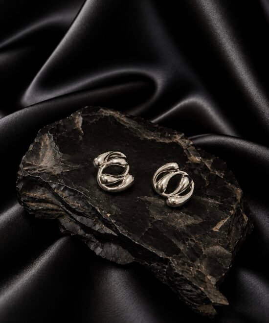 NOIR Silver Pisces Earrings